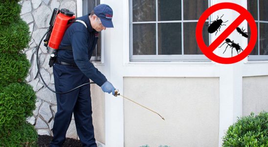 Korgan Kemirgen İlaçlama böcek ilaçlama ve haşere kontrolü — ilaclama-tr.com